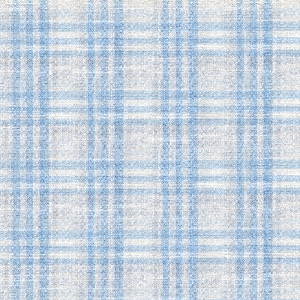 White/ Sky Blue Check
